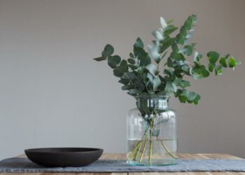 Pourquoi mettre des pièces dans un vase ?