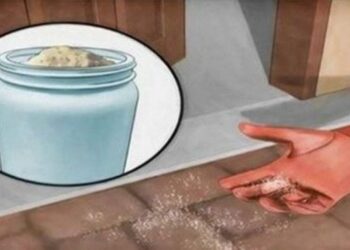 Pourquoi mettre du sel autour de la maison ?