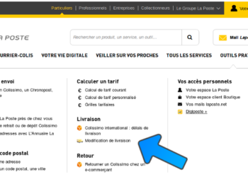 Pourquoi mon colis est retourné à l'expéditeur Chronopost ?