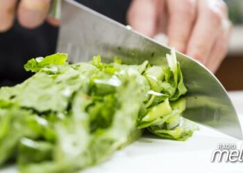 Pourquoi ne Doit-on pas couper la salade dans son assiette ?