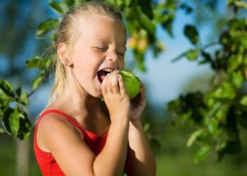 Pourquoi ne Faut-il pas manger de miel ?