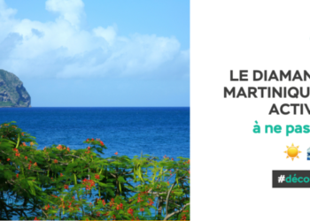 Pourquoi ne pas se mettre à l'ombre d'un noyer ?