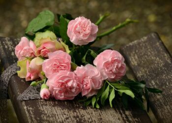 Pourquoi offrir des pivoines ?