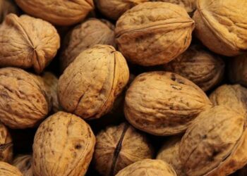 Pourquoi un noyer ne donne pas de noix ?