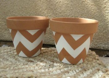 Pourquoi un pot en terre cuite ?