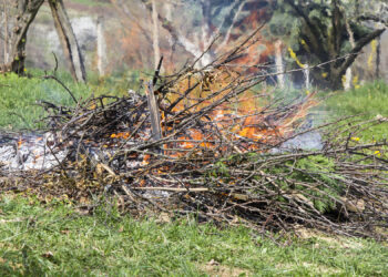 Puis-je brûler des papiers dans mon jardin ?