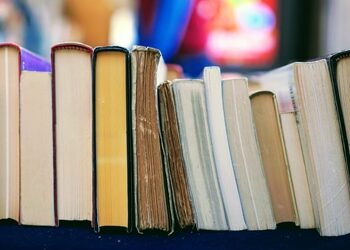 Quand Est-ce qu'un livre sort en format poche ?
