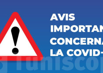 Quand apparaissent les premiers citrons ?