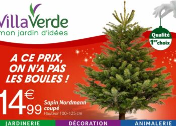 Quand arrive les sapins chez Carrefour ?