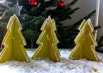 Quand arrive les sapins chez IKEA ?