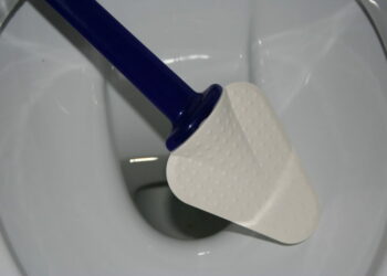 Quand changer Brosse WC ?