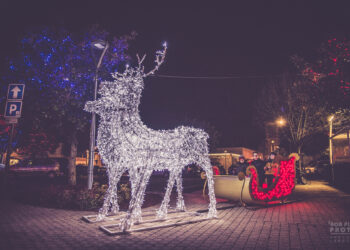 Quand commencent les illuminations de Noël ?