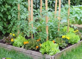 Quand commencer à préparer son jardin ?