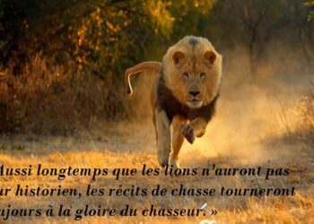 Quand le lion rugit citation ?