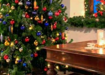 Quand les sapins chez IKEA ?