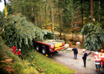Quand mettre la fausse neige sur le sapin ?