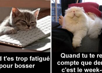 Quand paraît le monde Week end ?