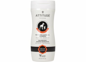 Quand passer à 240 ml ?