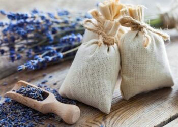 Quand ramasser la lavande pour la mettre en sachet ?