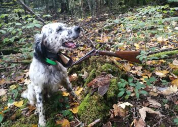 Quand se termine la chasse 2021 ?