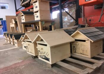 Quand sont vidées les boîtes aux lettres ?