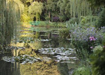 Quand visiter le jardin de Monet ?