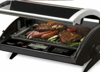 Quel BBQ électrique choisir ?