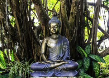 Quel Bouddha à la maison ?