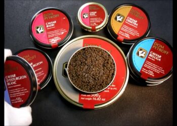 Quel Polyphane choisir ?