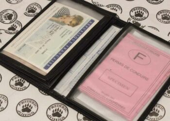 Quel âge carte grise gratuite ?