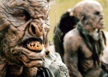 Quel âge pour le loup et le lion ?