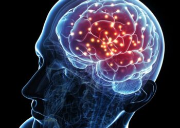 Quel animal a 8 cerveaux ?