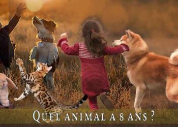 Quel animal a 8 cœurs ?