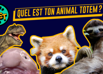 Quel animal est protecteur ?