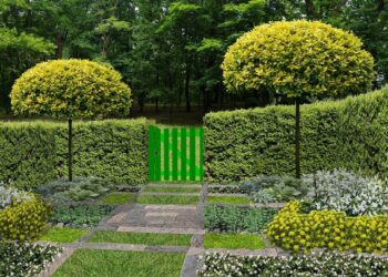 Quel arbre à fleur pour un jardin contemporain ?