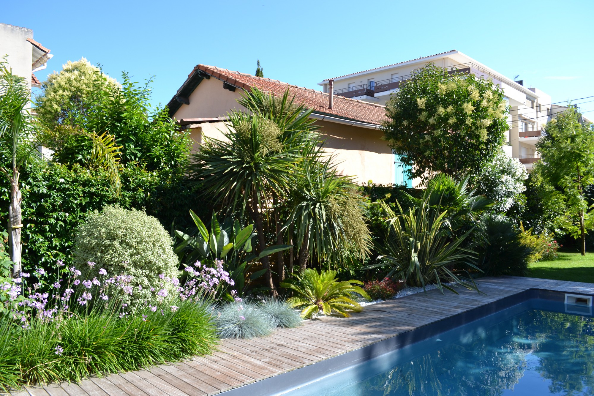 Quel arbre au bord d'une piscine — free download