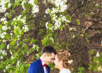 Quel arbre offrir pour une crémaillère ?