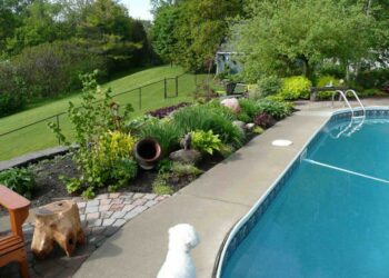 Quel arbuste autour d'une piscine ?