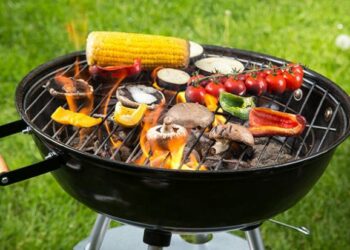 Quel barbecue gaz Choisir 2021 ?