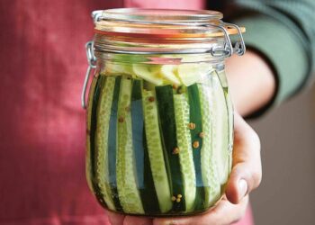 Quel bocal pour conserve ?