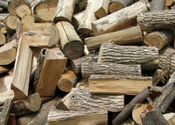 Quel bois dur est le plus tendre ?