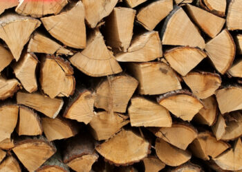 Quel bois pour Legumier ?