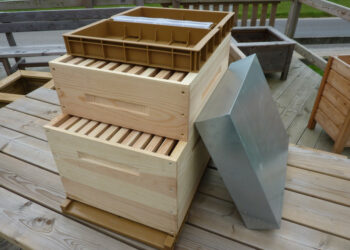 Quel bois pour fabriquer une ruche ?