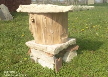 Quel bois pour une ruche tronc ?