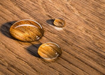 Quel bois résiste le mieux à l'humidité ?