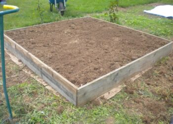 Quel bois utiliser pour faire des bac potager ?
