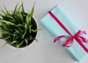 Quel cadeau offrir pour l'achat d'une maison ?