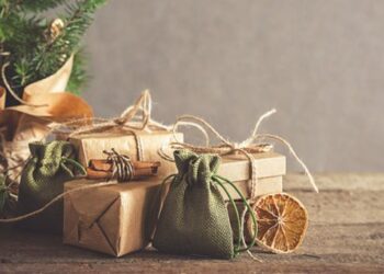 Quel cadeau pour quelqu'un qui aime les plantes ?