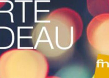 Quel chèque cadeau accepté Darty ?