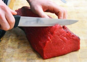 Quel couteau pour manger viande ?